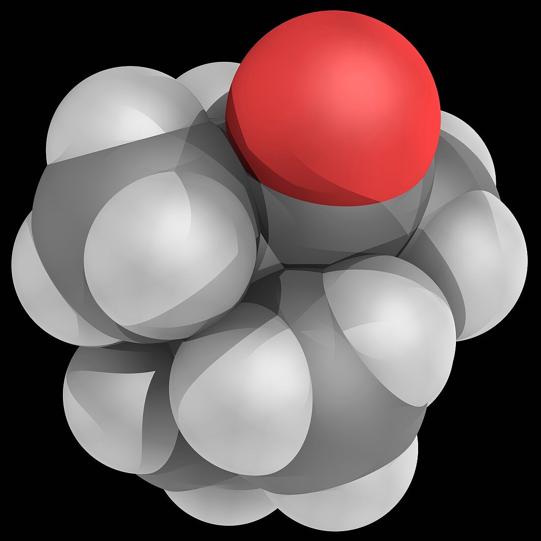 Camphor molecule