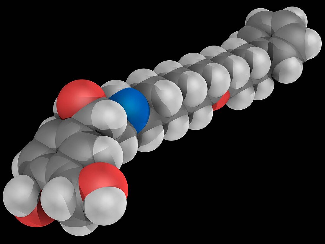 Salmeterol drug molecule