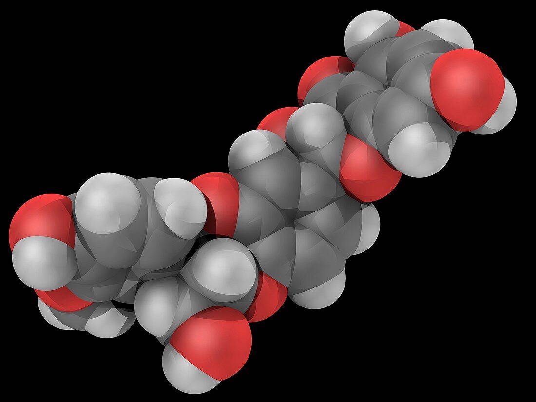 Silibinin molecule