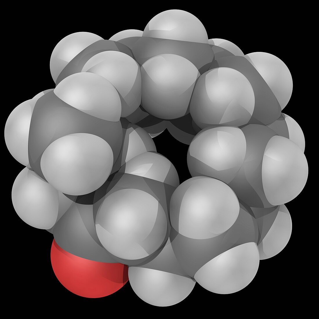 Muscone molecule