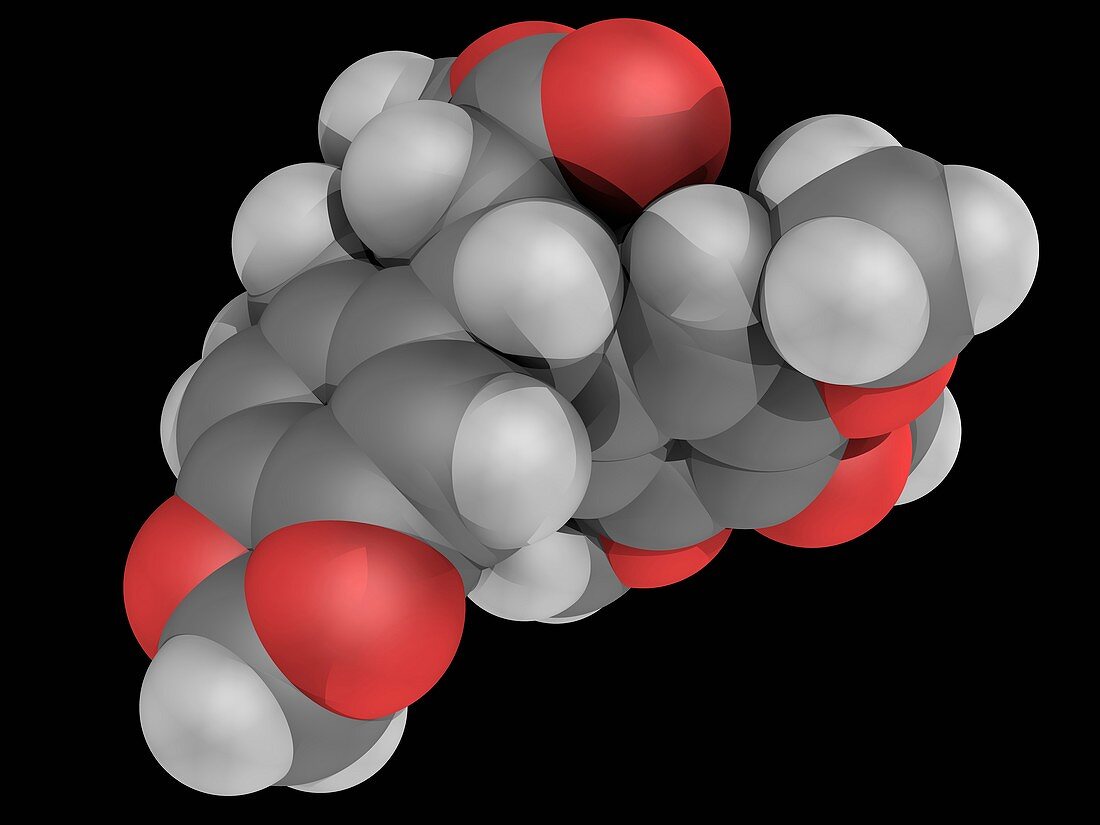 Podofillotoxin molecule