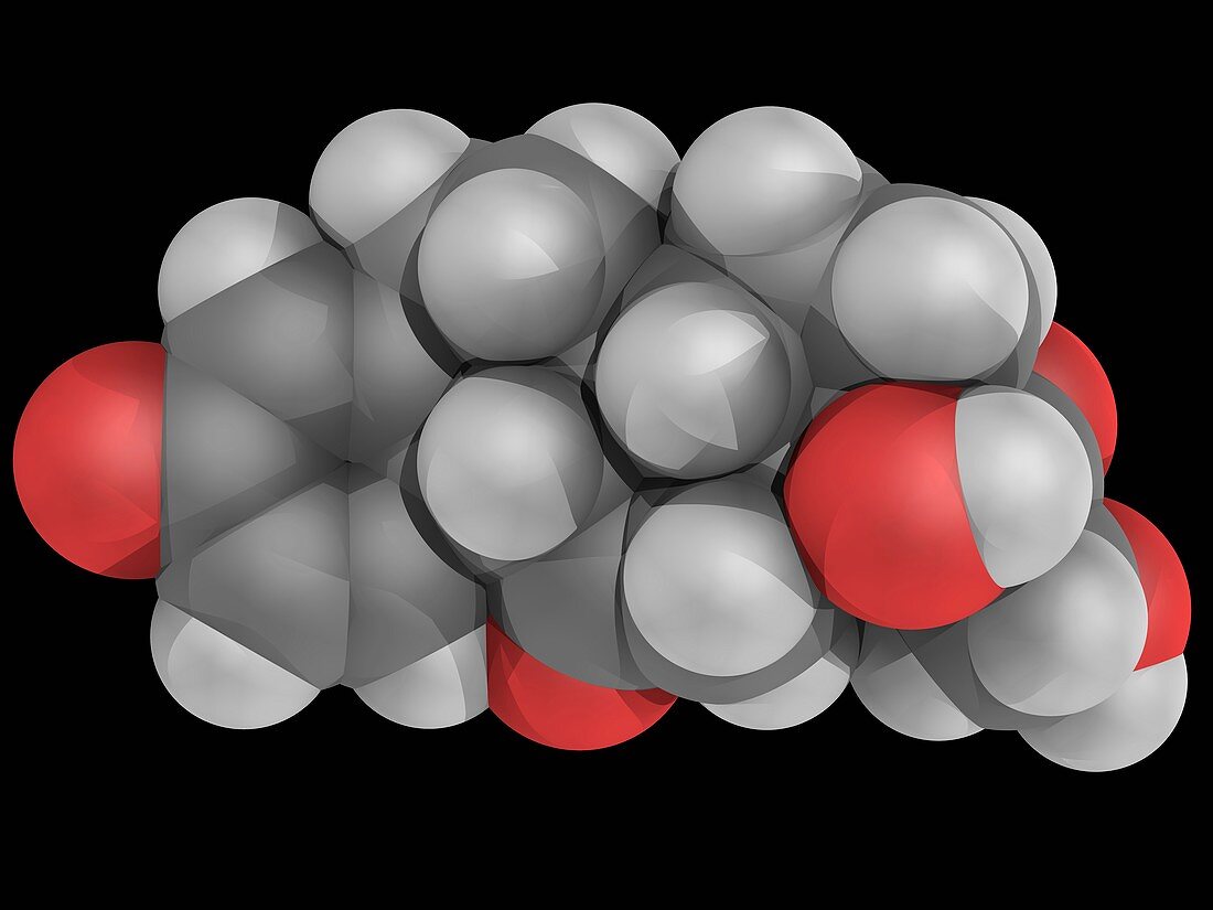 Prednisone drug molecule