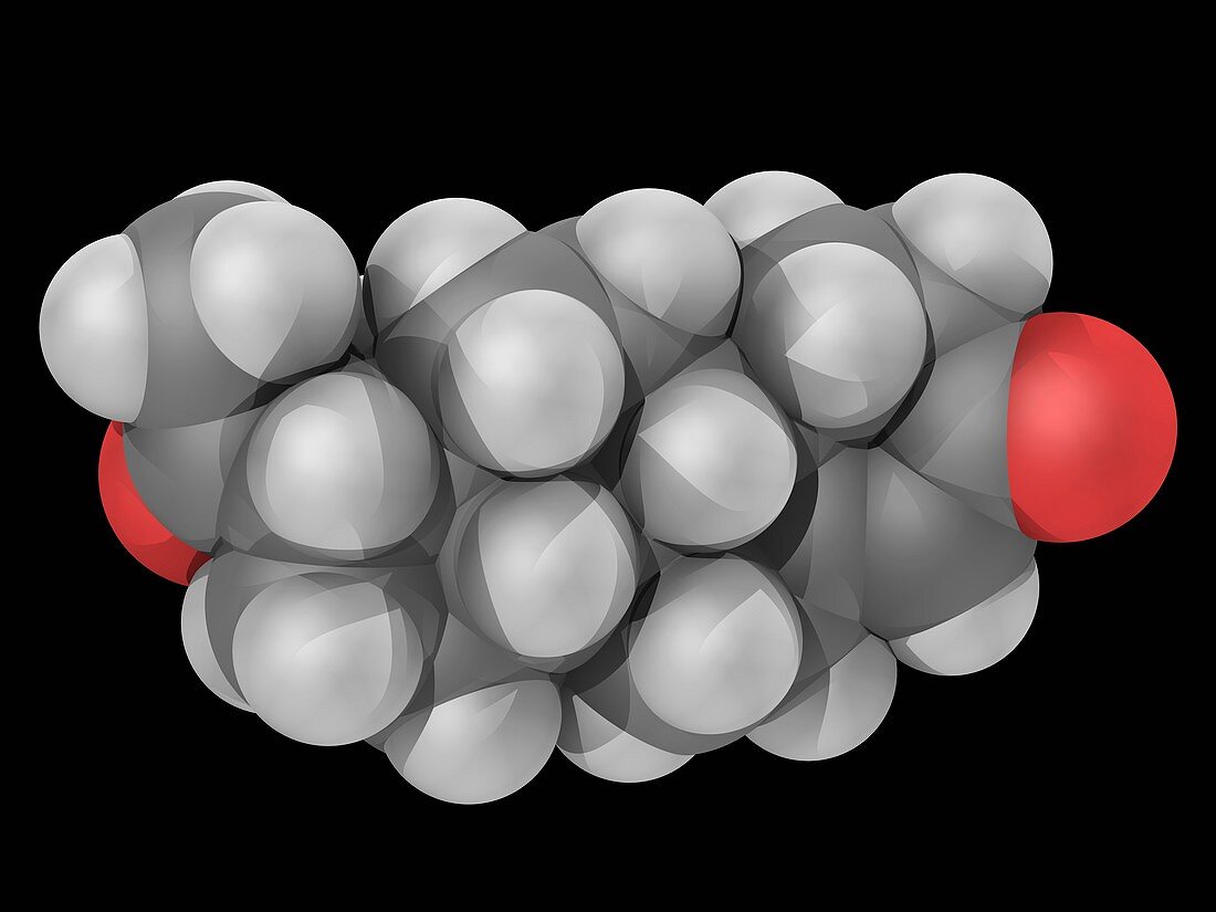 Progesterone hormone molecule