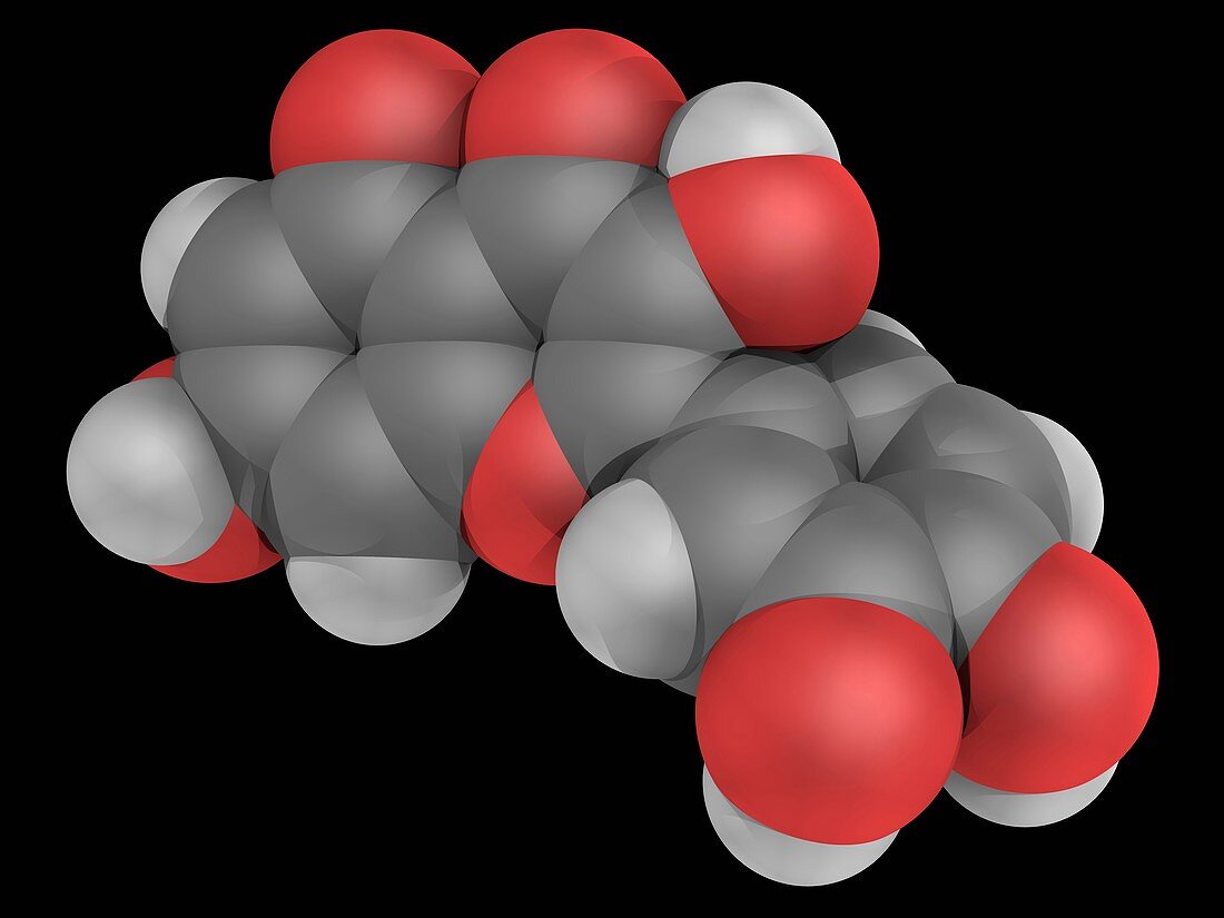Quercetin molecule
