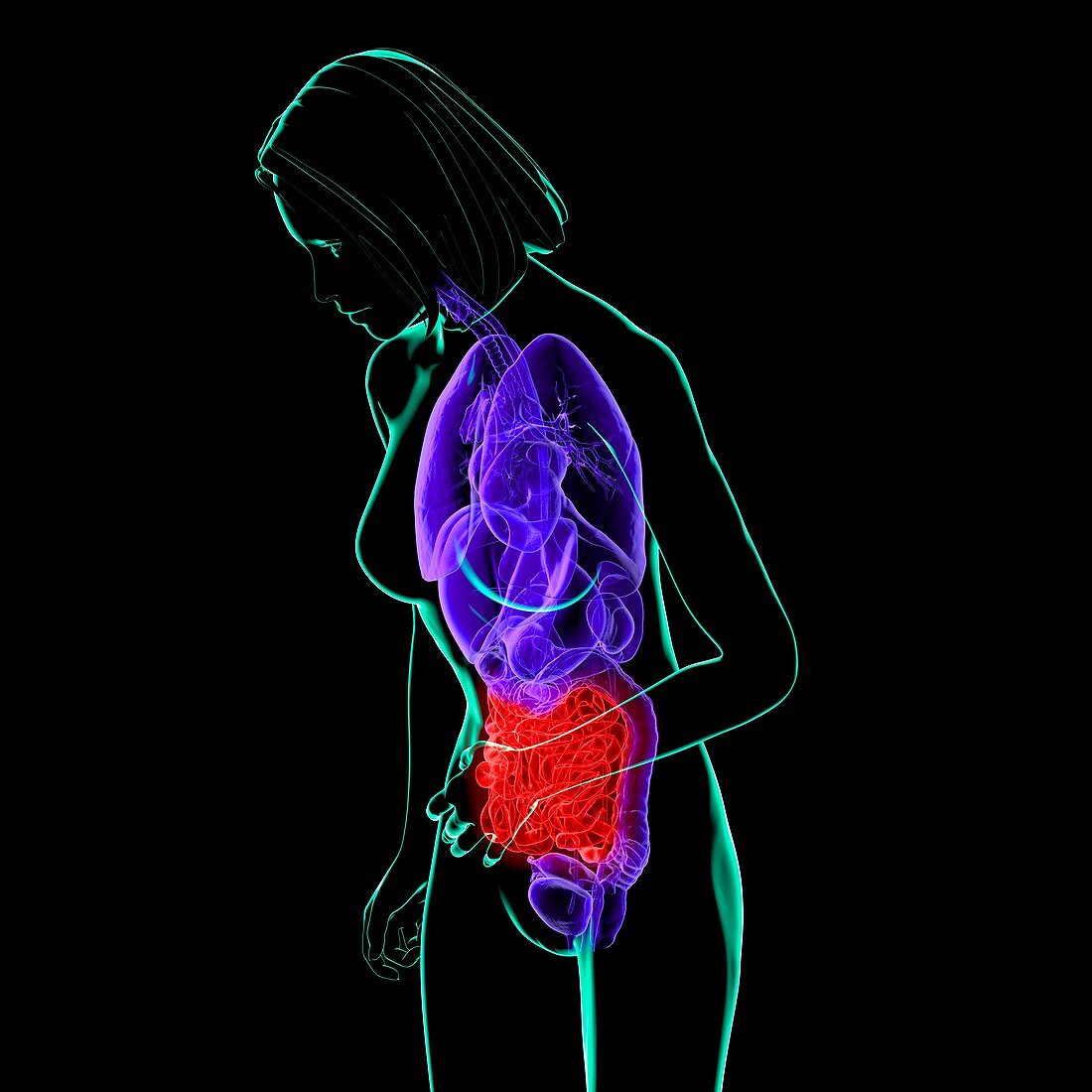 Abdominal pain,conceptual artwork