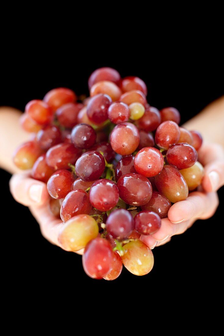 Grapes