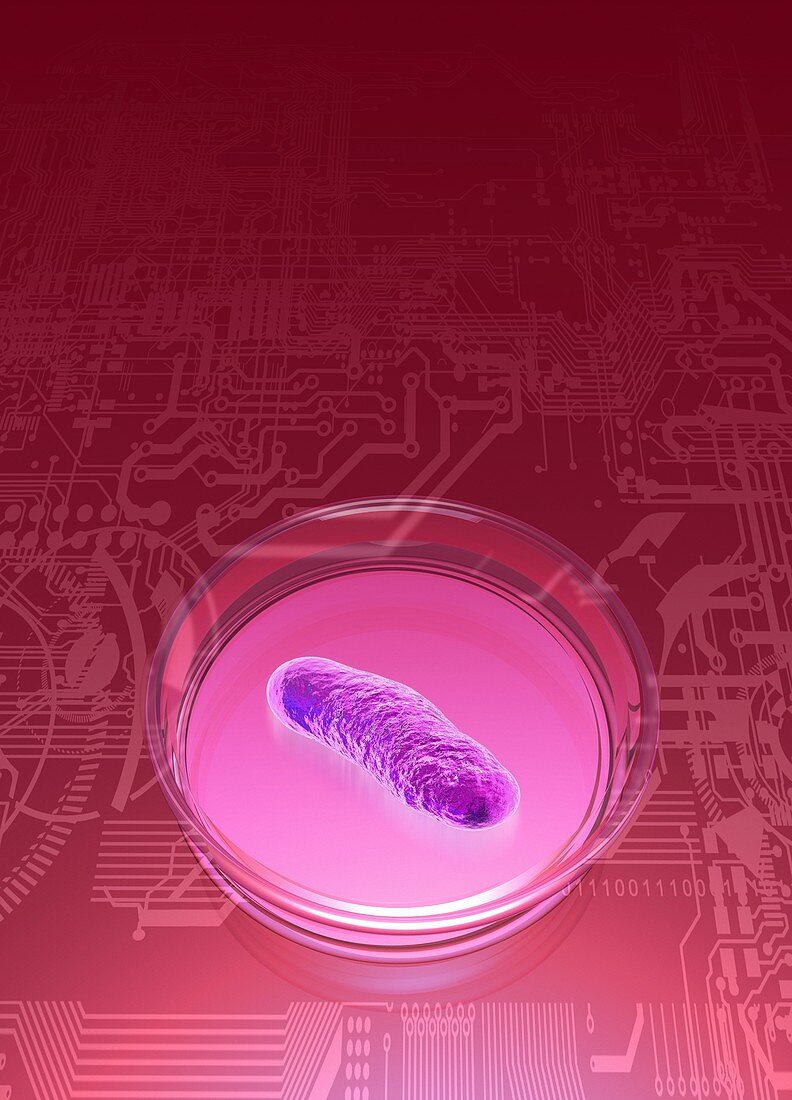 Bacterial research,conceptual artwork