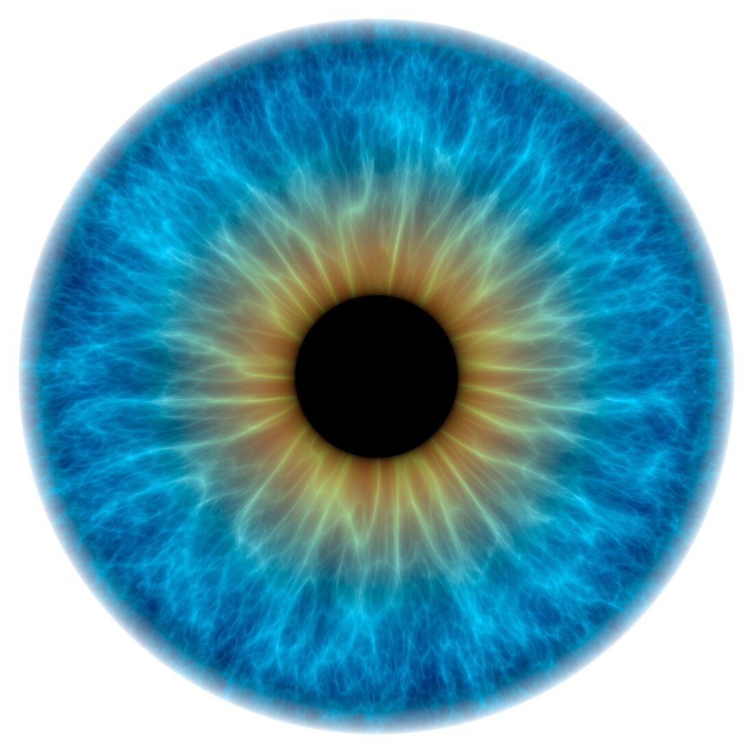 Blue eye,artwork