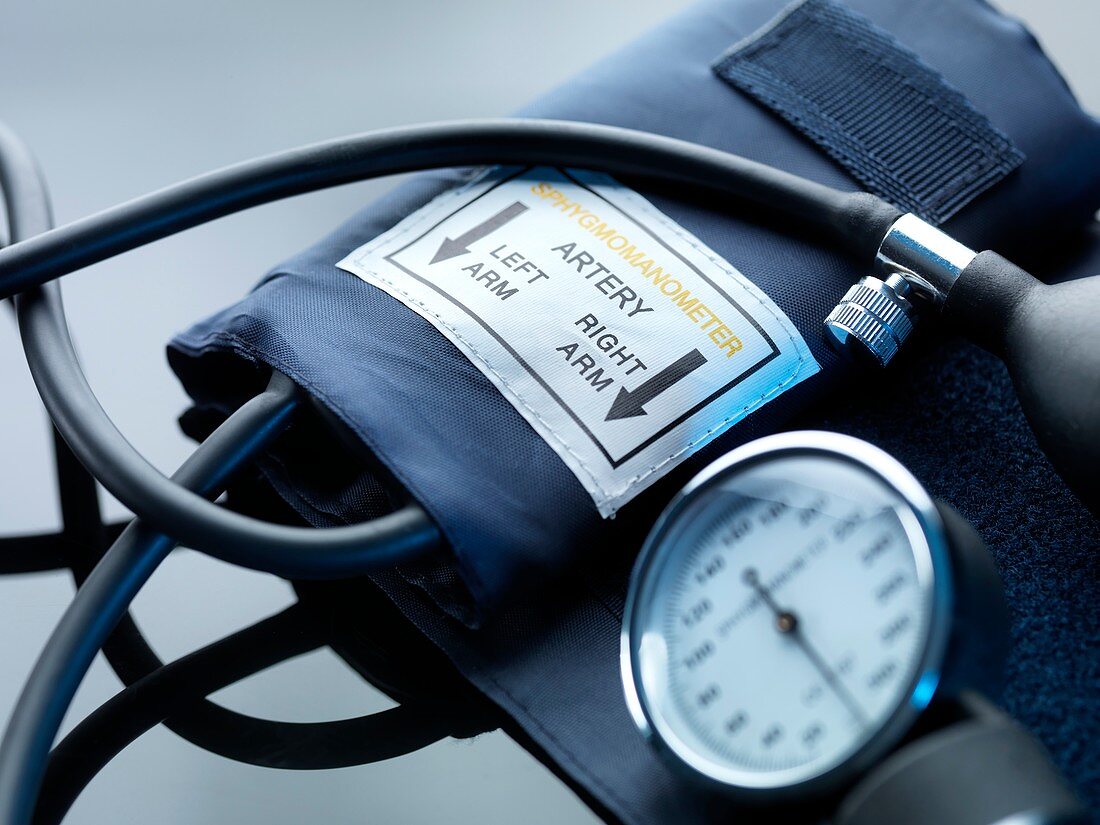 Blood pressure gauge