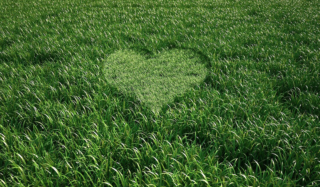 Heart-shaped grass,artwork