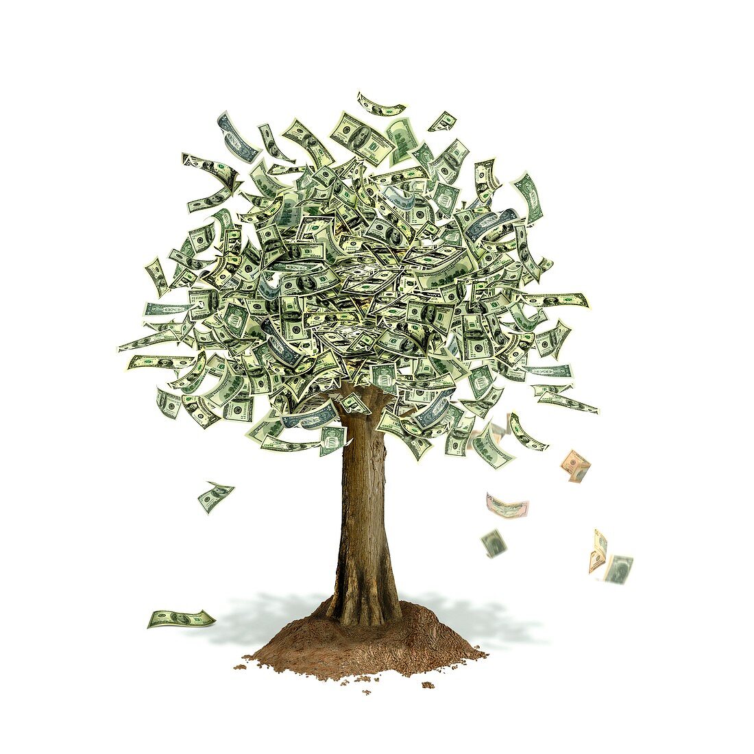 Money tree,conceptual artwork