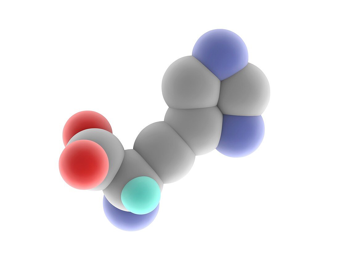 Histidine molecule