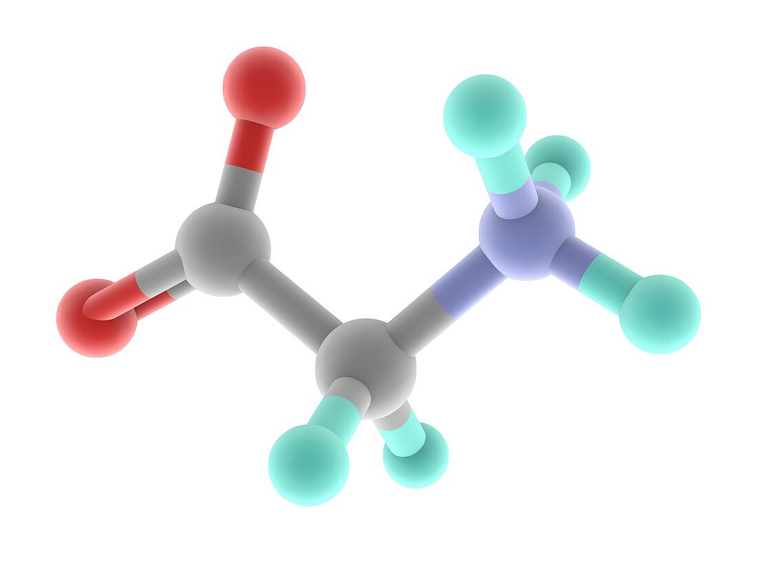 Glycine molecule
