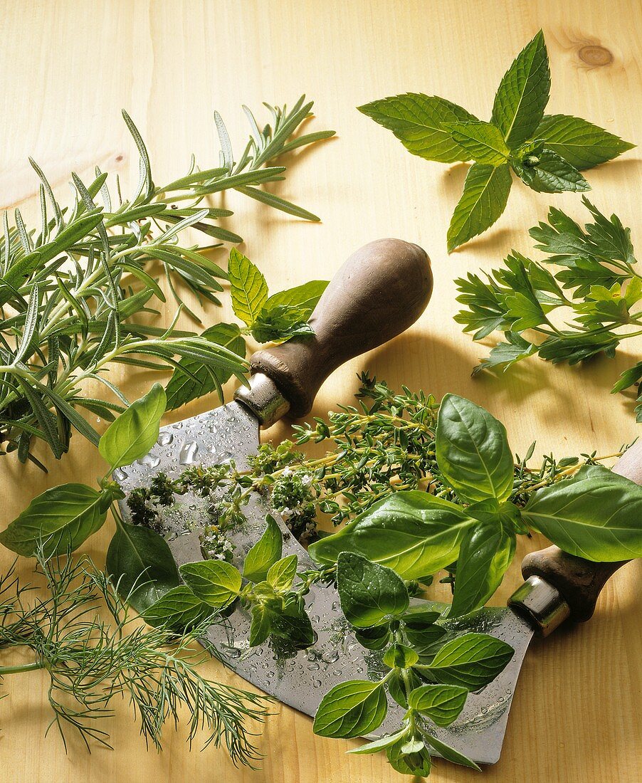 Fresh herbs and a chopping knife: rosemary, dill, basil