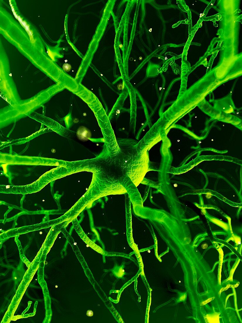 Nerve cells,artwork