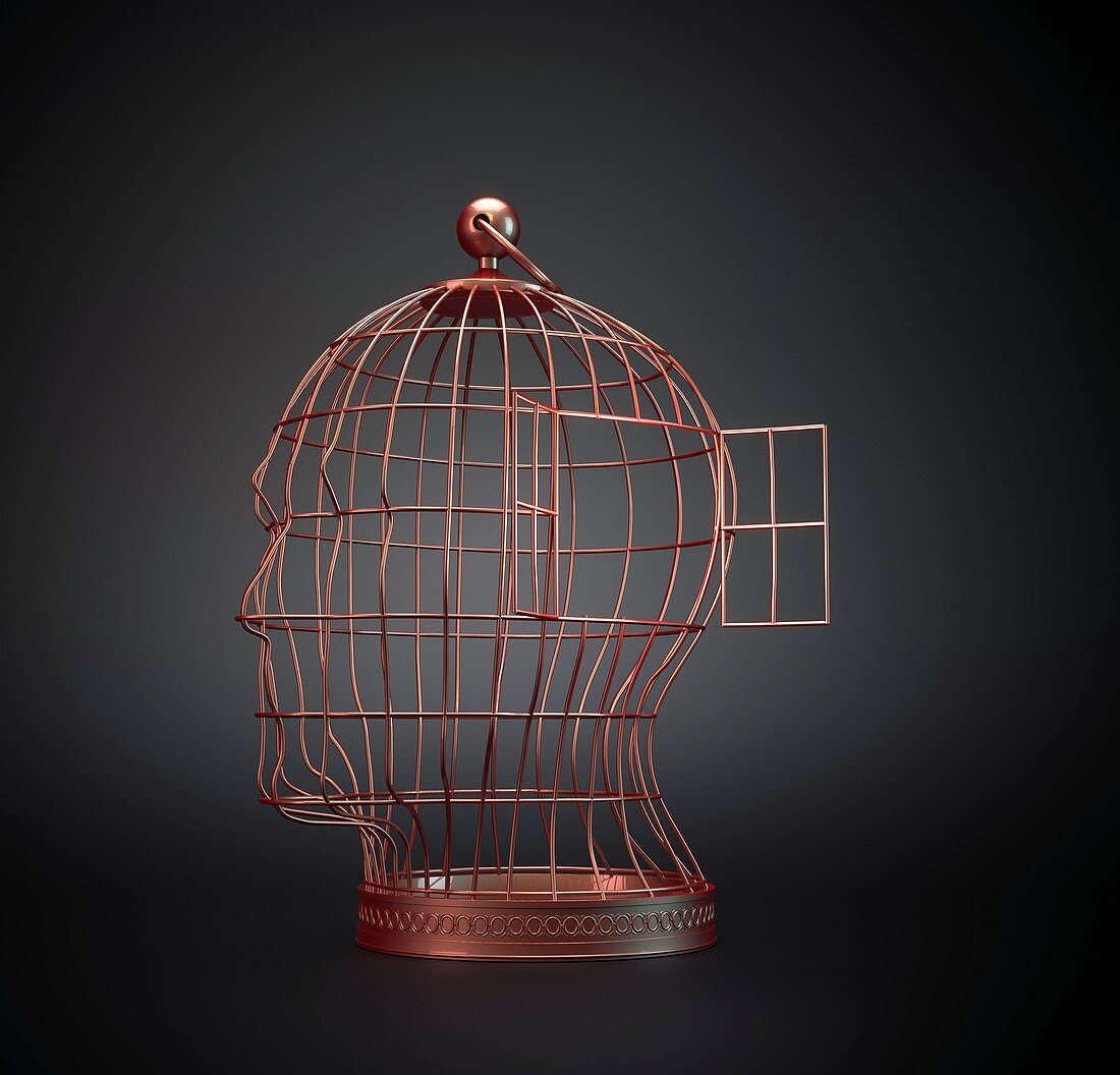 Head-shaped cage,artwork