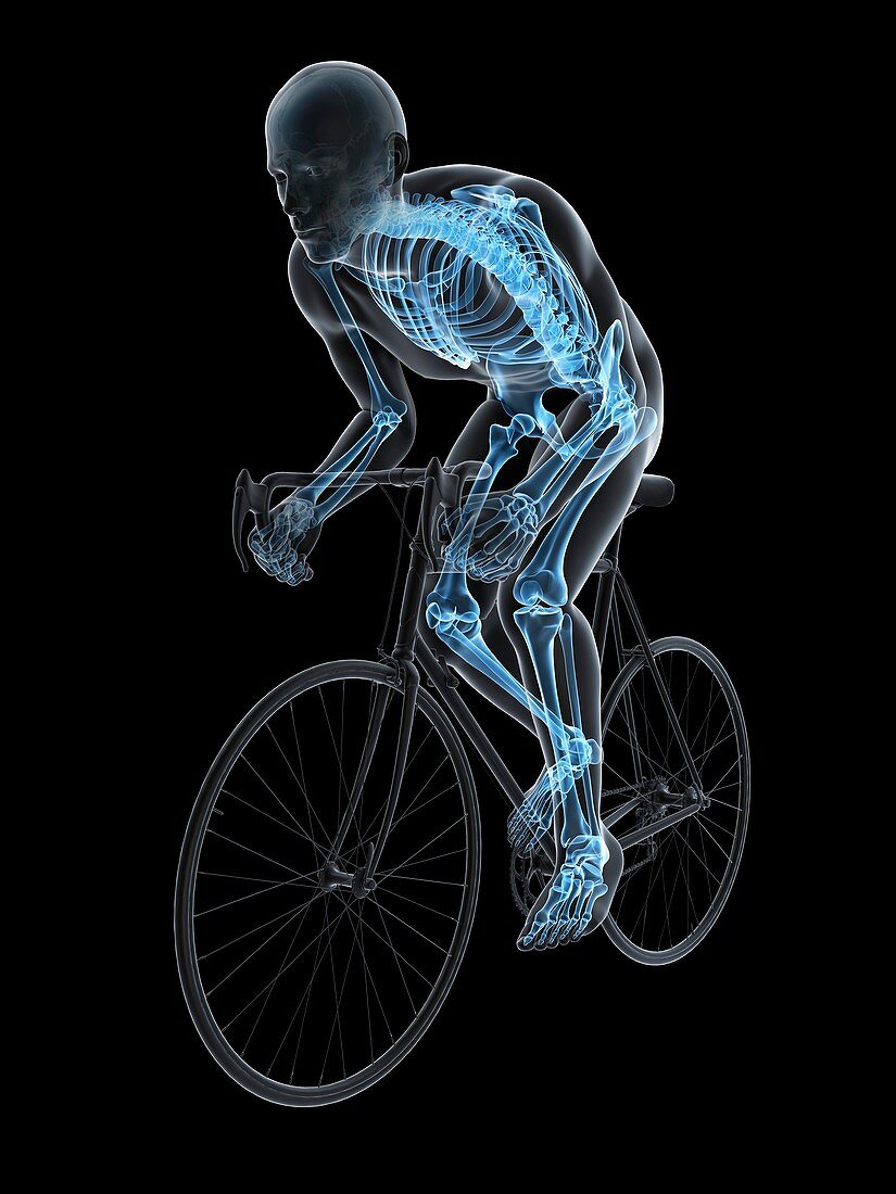 Cyclist,artwork