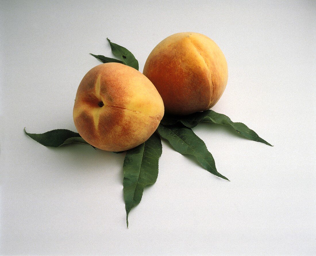 Zwei Pfirsiche auf Blättern