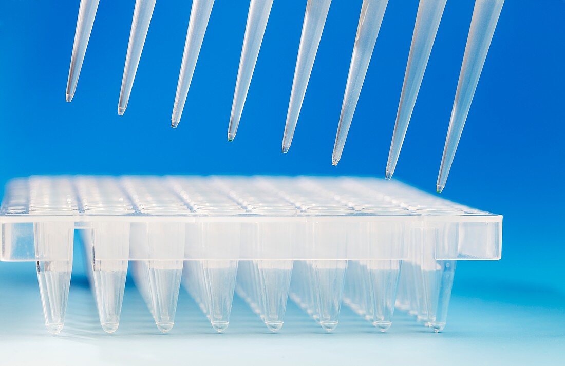 Multi-pipette and multi-well tray