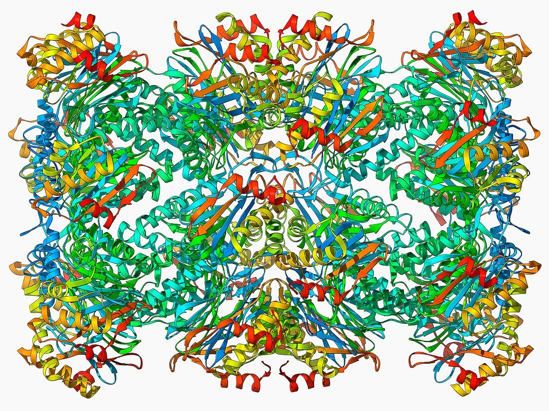 Archaeon enzyme,molecular model