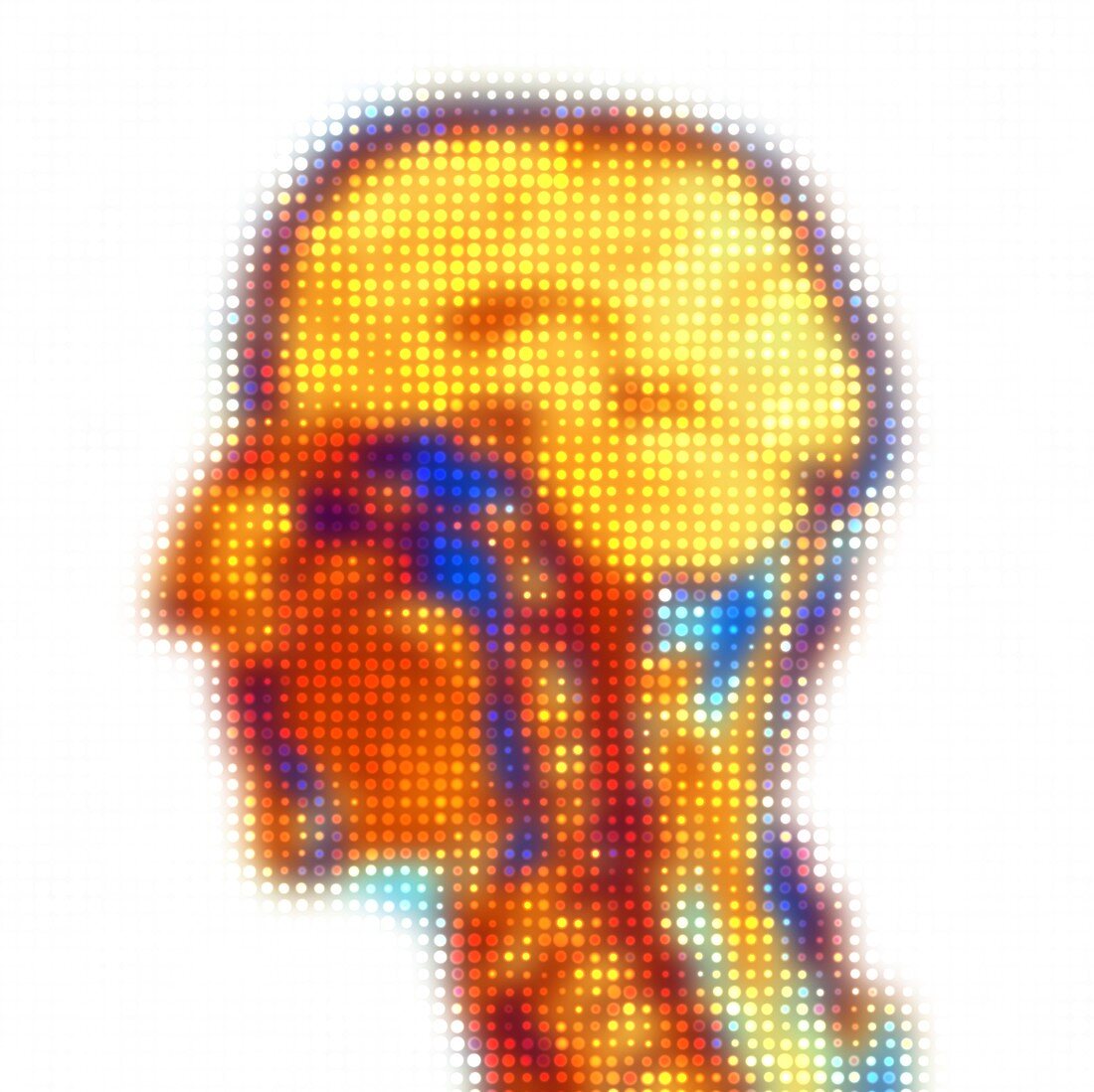 Human head MRI dot matrix,artwork