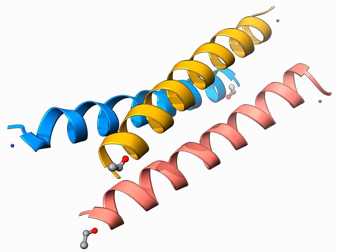 Synthetic triple helical peptide molecule