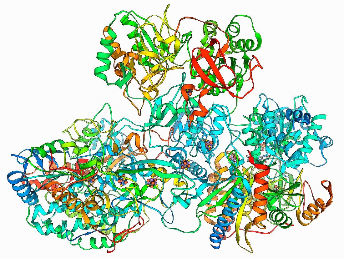 Respiratory complex I