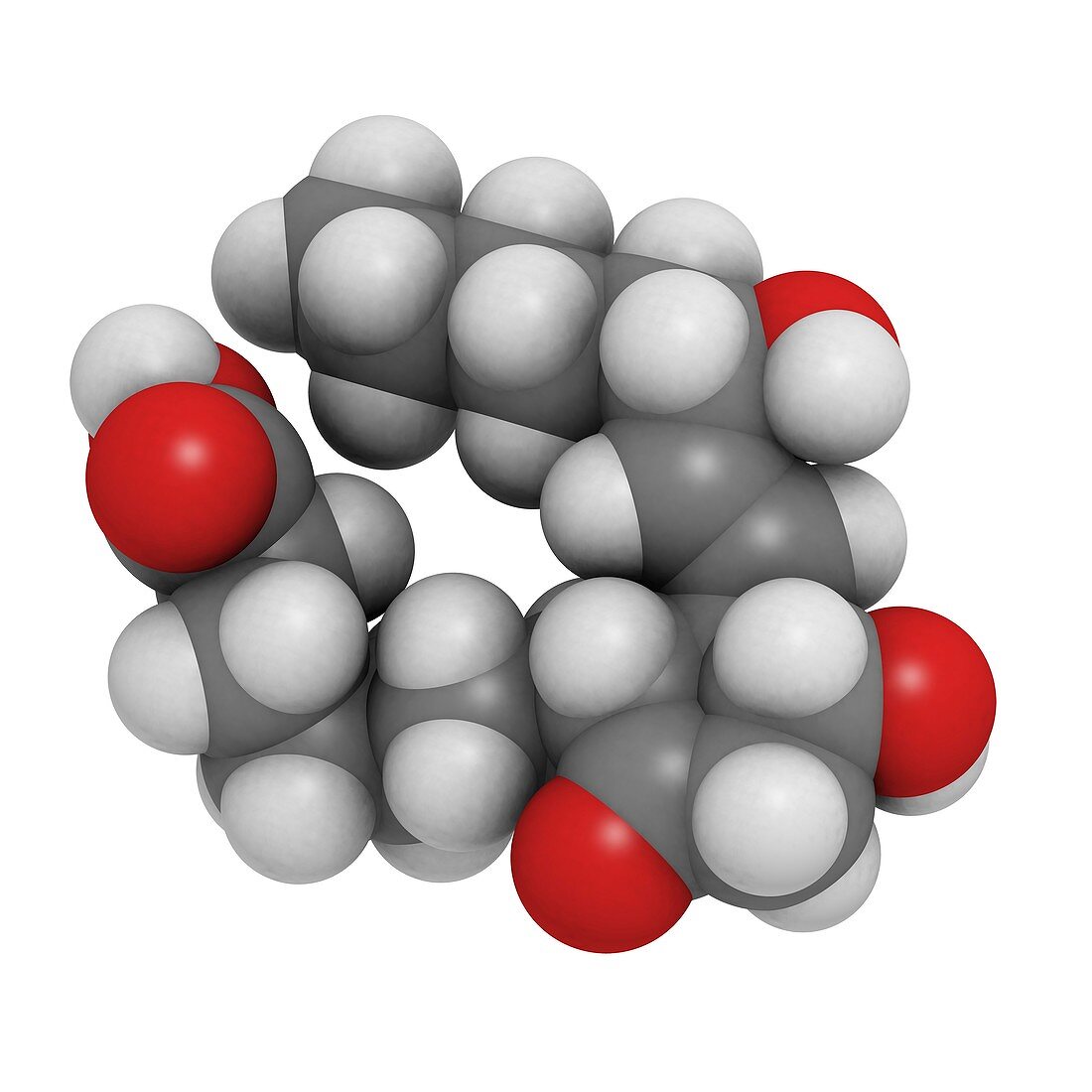 Prostaglandin E1 drug molecule