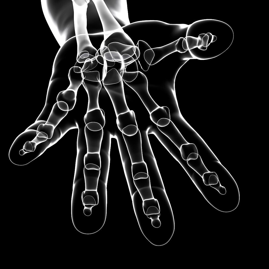 Human hand bones,artwork