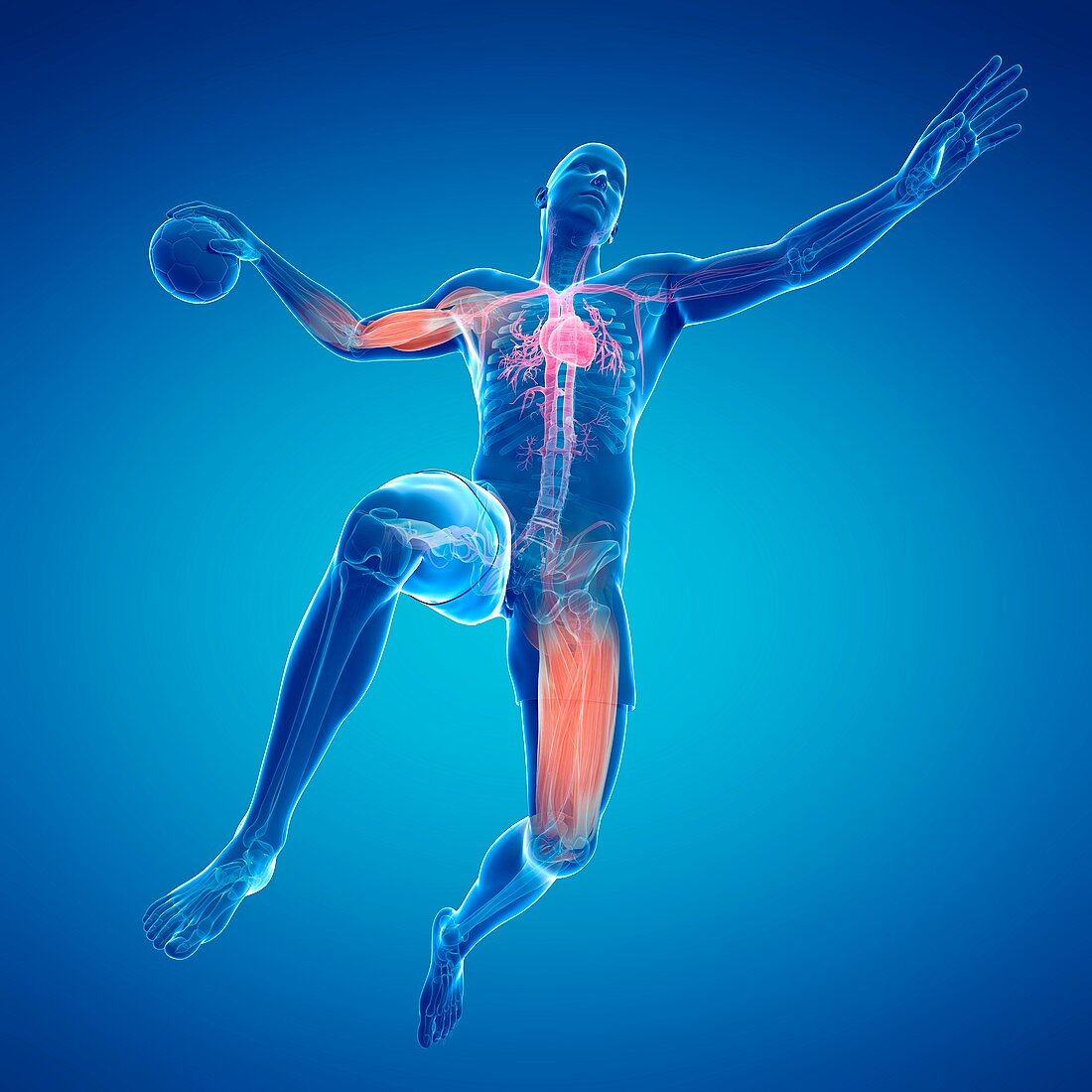 Handball player,artwork