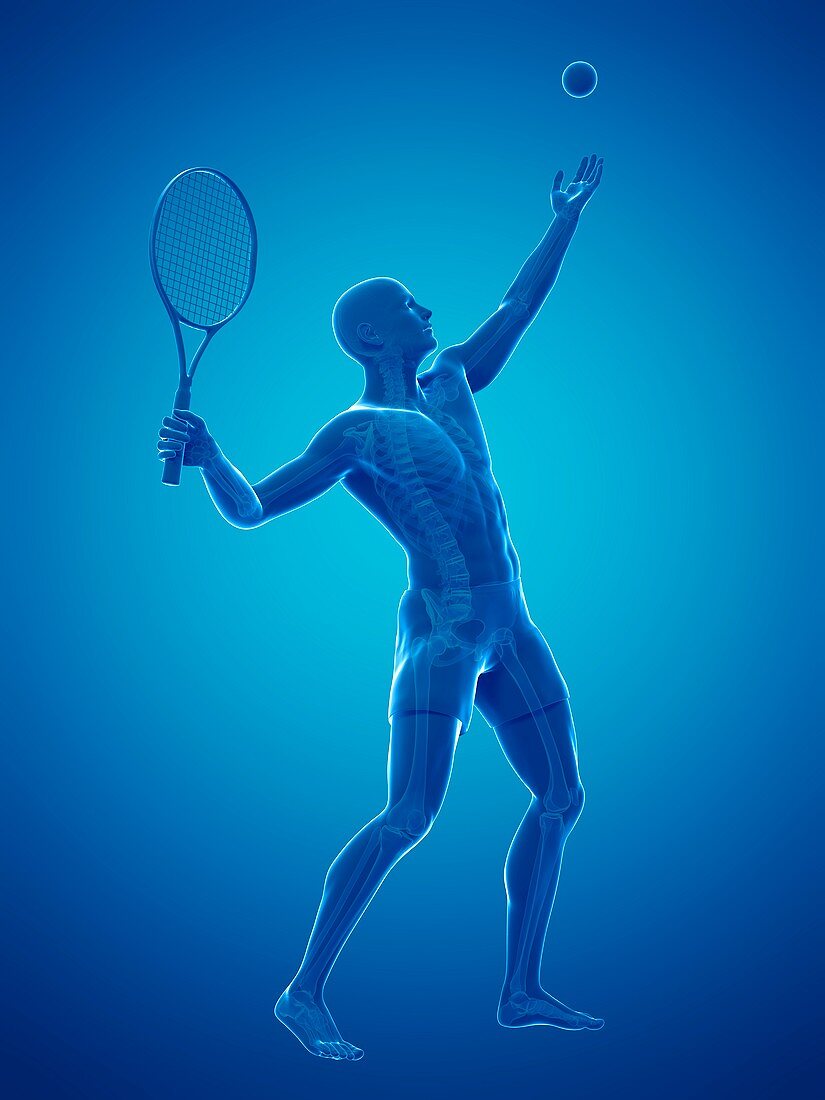 Tennis player,artwork