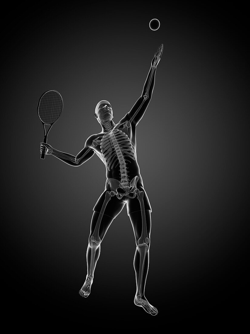 Tennis player,artwork