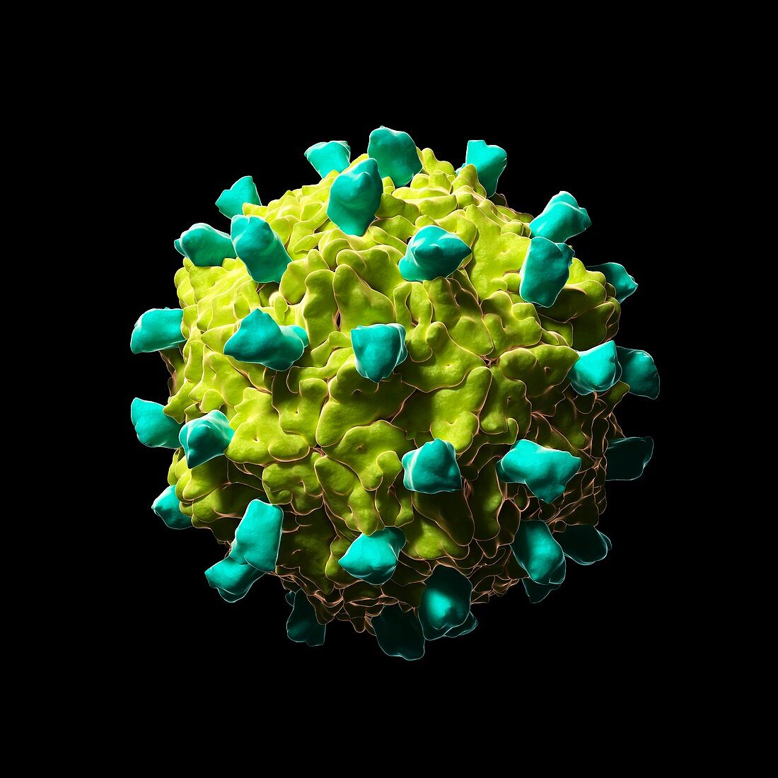 Coxsackie B3 virus particle,artwork