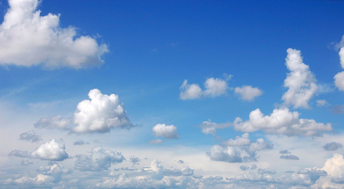 Blue sky with cumulus clouds,artwork