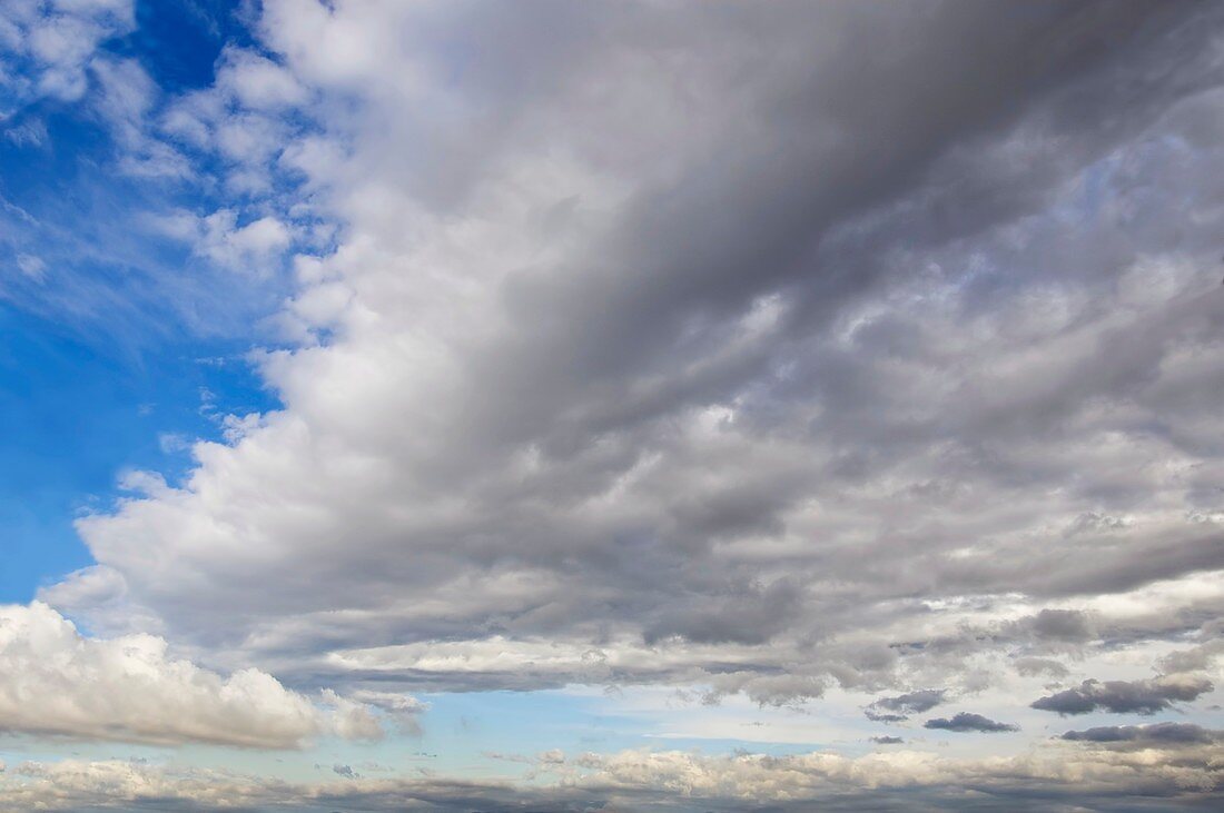 Blue sky with cumulus clouds,artwork