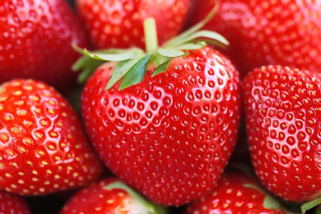 Strawberries