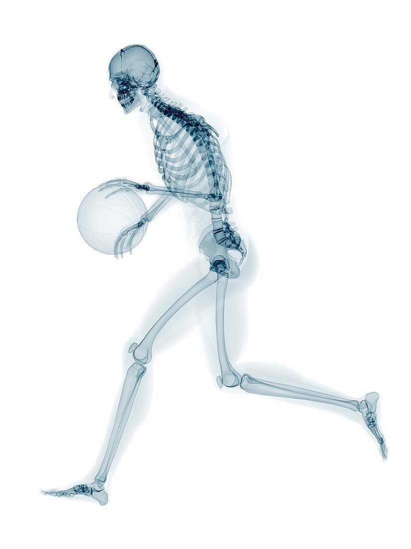 Skeleton playing basketball,artwork