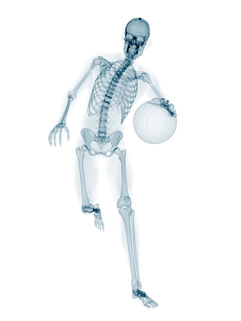 Skeleton playing basketball,artwork