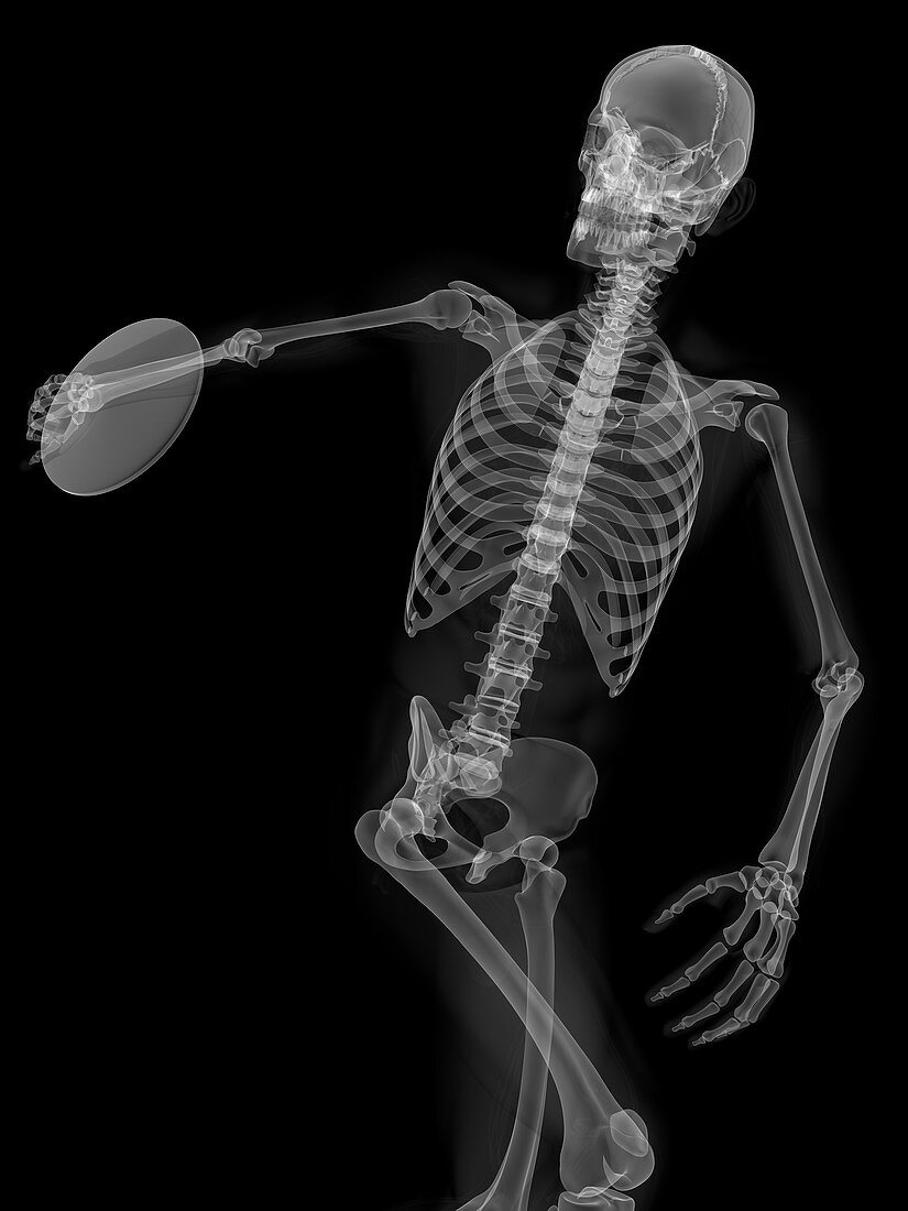 Skeleton throwing discus,artwork