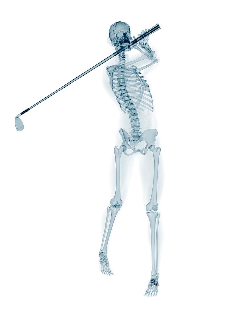 Skeleton playing golf,artwork