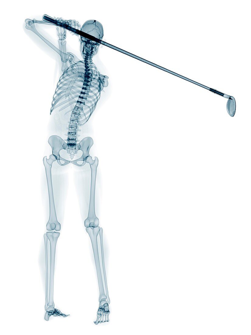 Skeleton playing golf,artwork