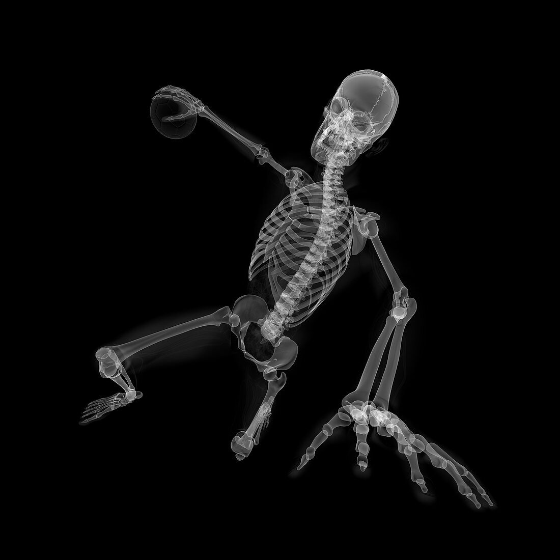 Skeleton playing handball,artwork