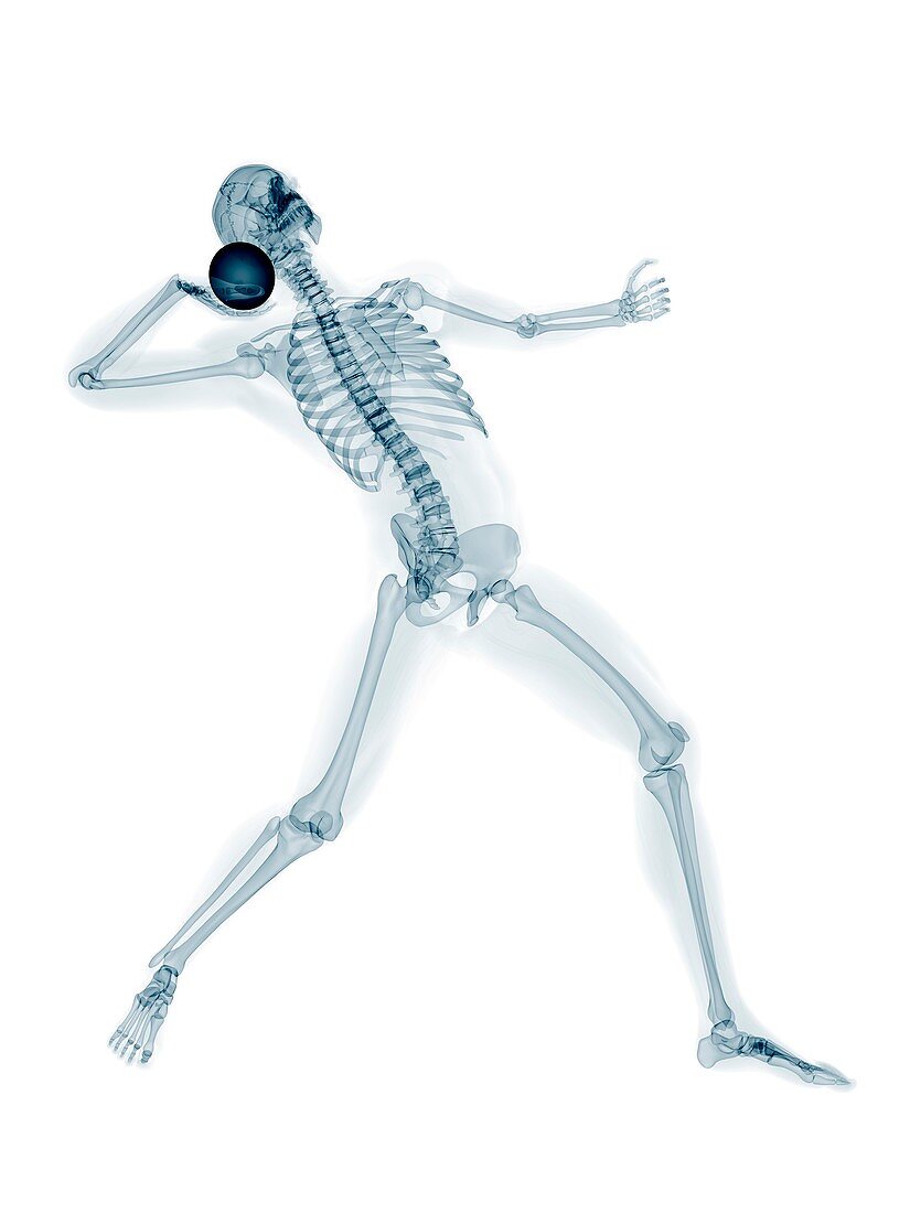 Skeleton throwing shot put,artwork