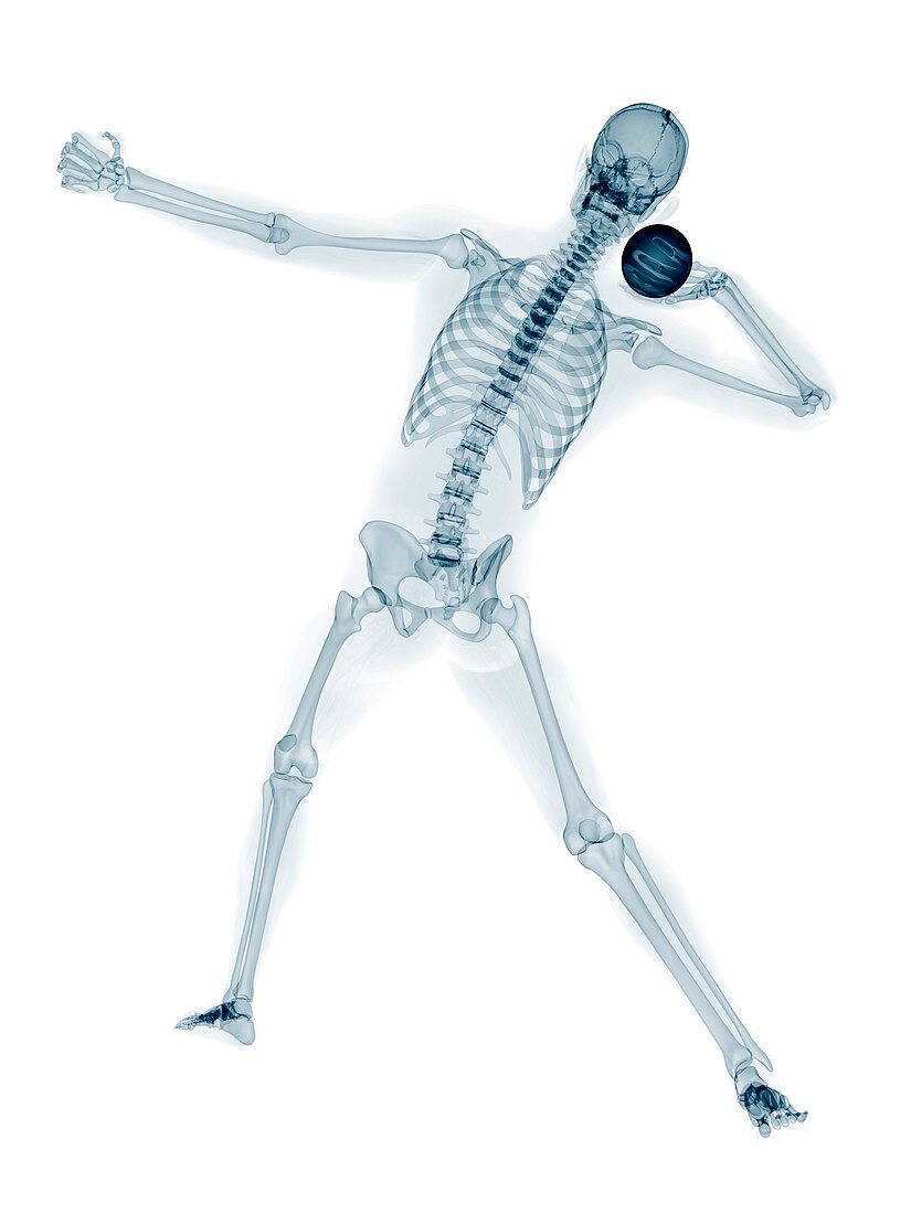 Skeleton throwing shot put,artwork