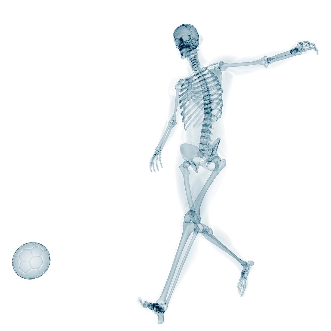 Skeleton playing football,artwork