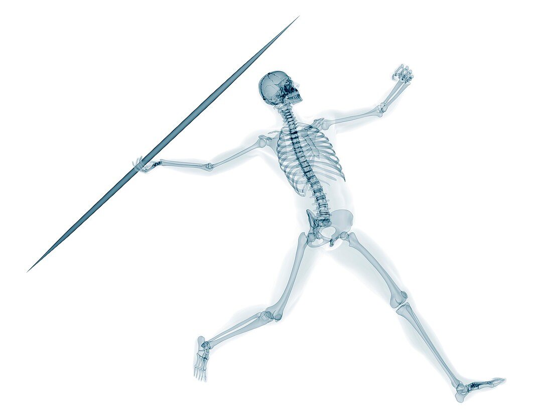 Skeleton throwing javelin,artwork