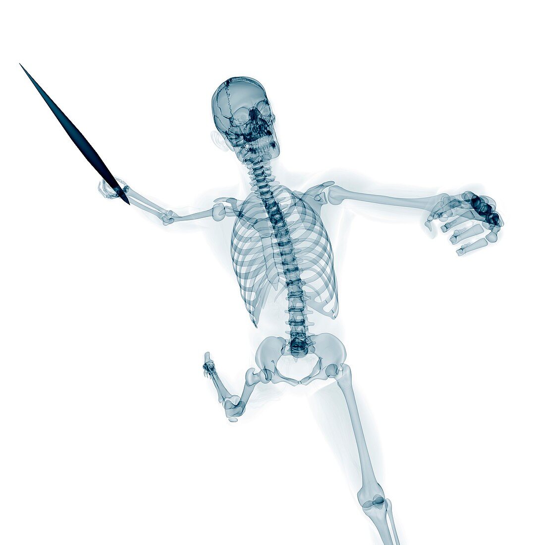 Skeleton throwing javelin,artwork