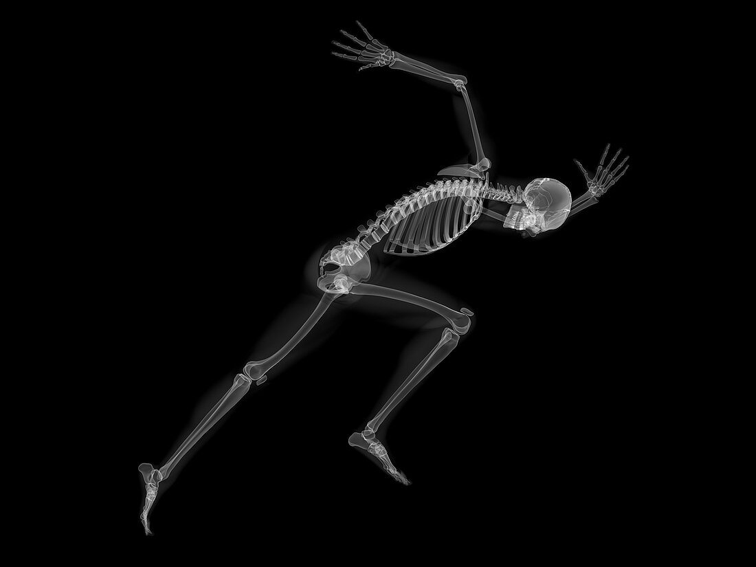 Skeleton sprinting,artwork