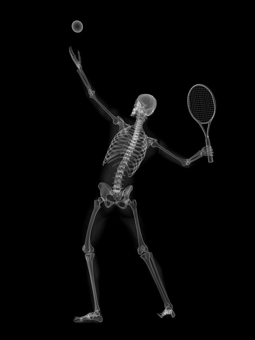 Skeleton playing tennis,artwork