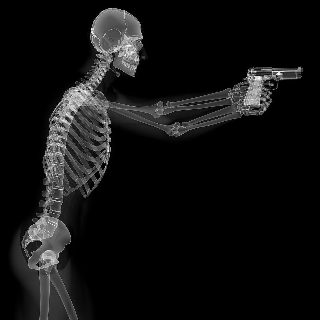 Skeleton with gun,artwork